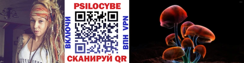 Купить  Оса  Галлюциногенные грибы Psilocybe 